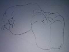 <b>第三十一幅·柿子椒</b>